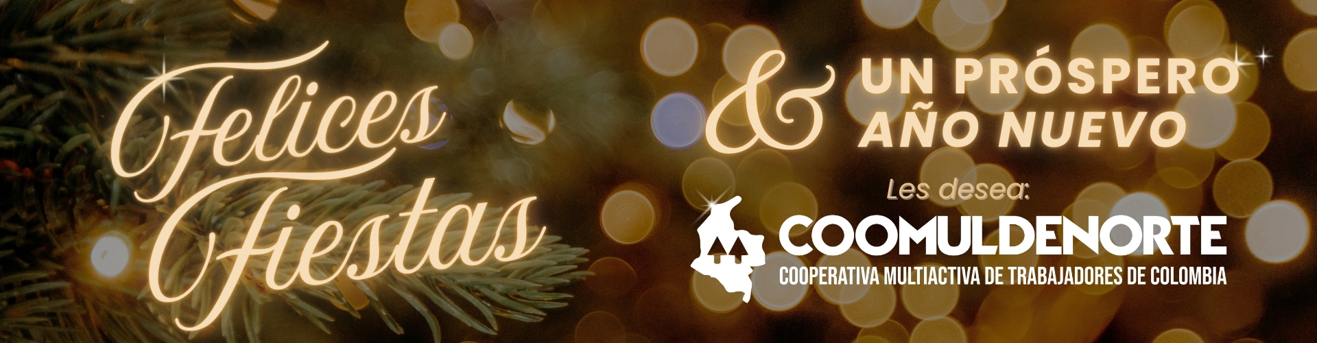 694f0d9fa3378-Slider página web.jpg